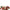 Floral Garland Headband - Red Rose - Her Teen Dream